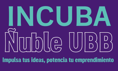 Incuba Ñuble